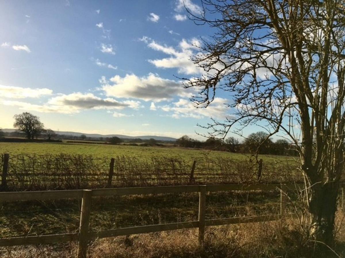South Cottage - Rural Gem In The Heart Of The Sussex Countryside Twineham Eksteriør billede