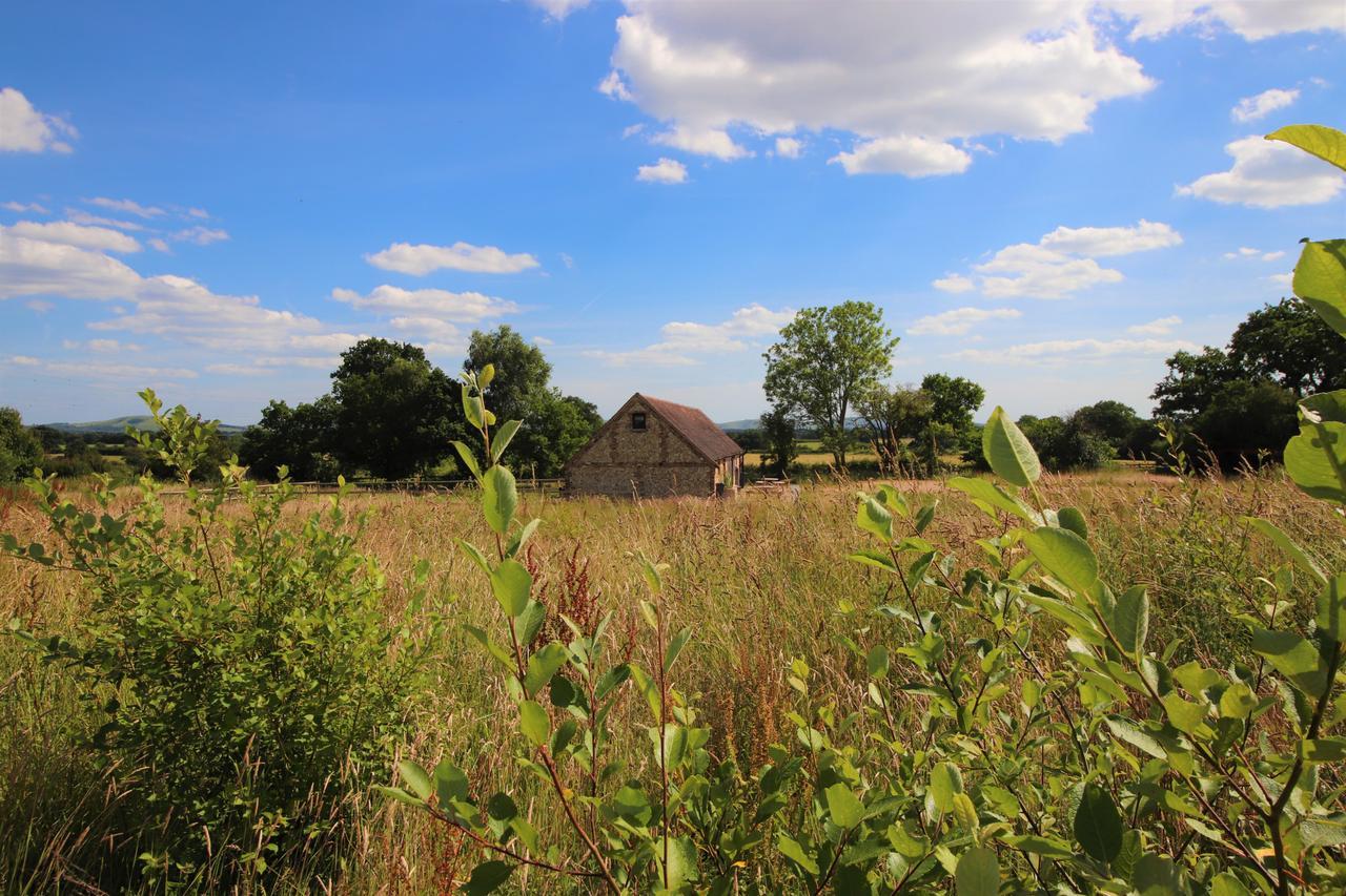 South Cottage - Rural Gem In The Heart Of The Sussex Countryside Twineham Eksteriør billede